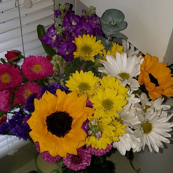 Meet your Posher, Amanda - Picture 1 of 1